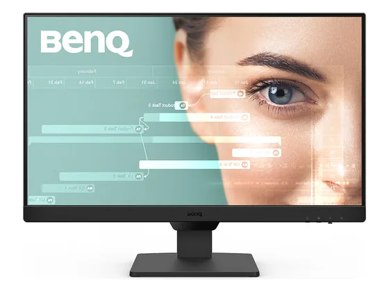 BenQ GW2490CE