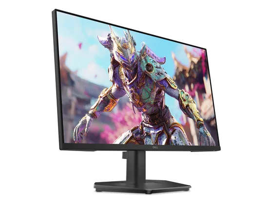 Dell SE2426HG